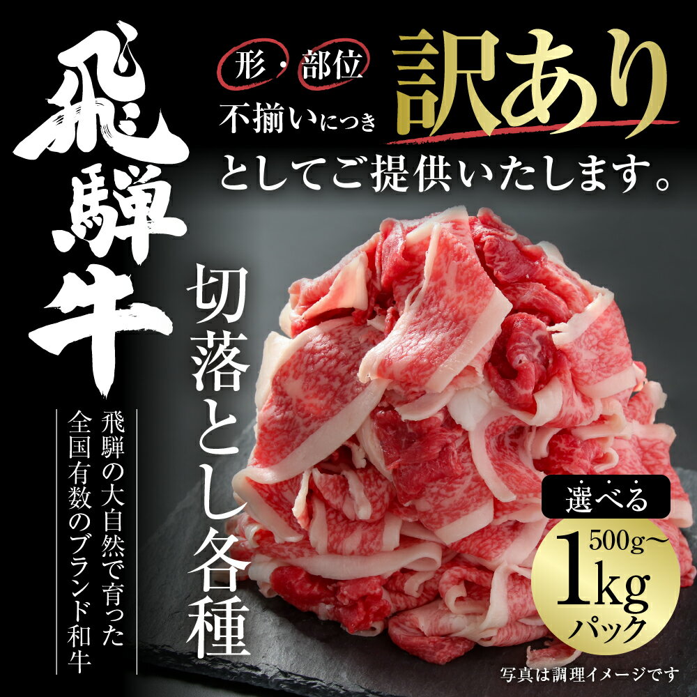 【ふるさと納税】訳あり 飛騨牛 切落し 選べる 500g or 1kg 冷凍真空パック | 肉 お肉 切り落とし 薄切り すき焼き すきやき 黒毛和牛 和牛 人気 おすすめ 牛肉 ギフト [MZ011]