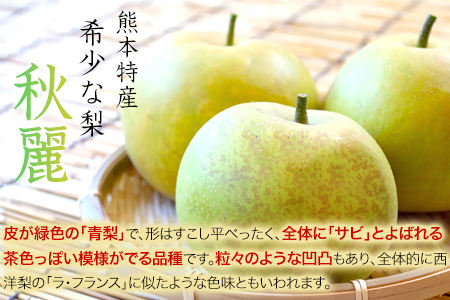 熊本県玉東町産『緑伸園』の秋麗梨 期間限定 たっぷり約3kg 5-9玉前後《8月上旬-8月下旬頃出荷》 なし 秋麗 果物 スイーツ フルーツ デザート スムージーにも ｜ブランド梨 人気梨 特産品梨 