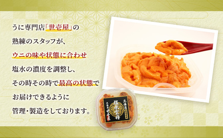 北海道 礼文産 世壱屋 塩水ウニ（ バフンウニ ）100g×2　雲丹 ウニ 