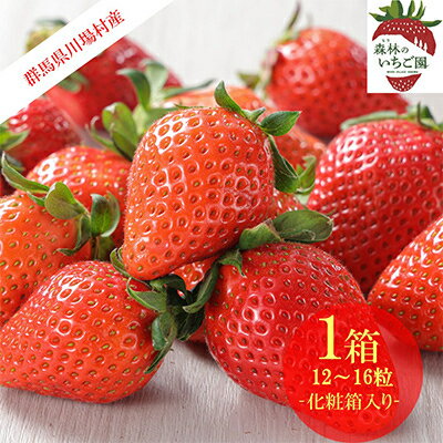 【ふるさと納税】森林の力で育った朝摘みいちご1箱　【12～16粒入り】【配送不可地域：離島・北海道・沖縄県・中国・四国・九州】【1033308】