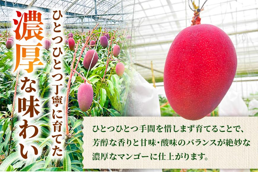 【家庭用】宮古島産マンゴー1kg ＜リトルグローブ＞（LT003）