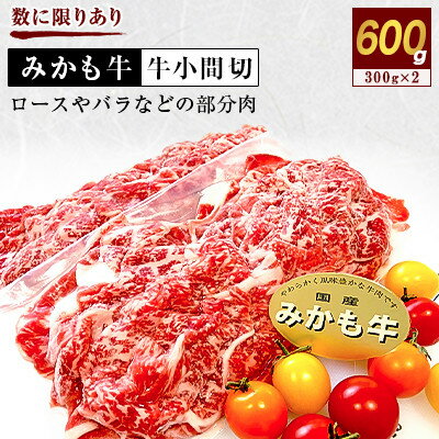 【ふるさと納税】「みかも牛」牛小間切600g(300g×2)【配送不可地域：離島】【1257310】