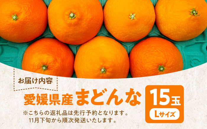 まどんな みかん 愛媛 みかん まどんな 柑橘