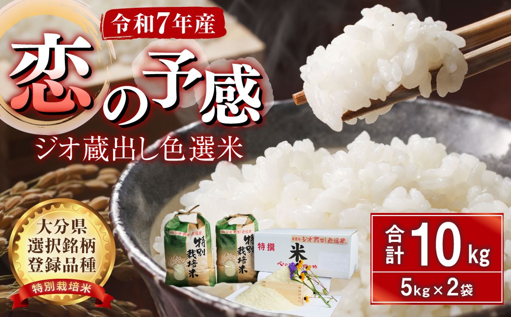 
                  036-1254x3 ジオ蔵出し色選米 特別栽培米 10kg (5kg×2袋) 令和7年産 大分県 豊後大野市産 大分県選択銘柄登録品種 「恋の予感」 米 精米
                