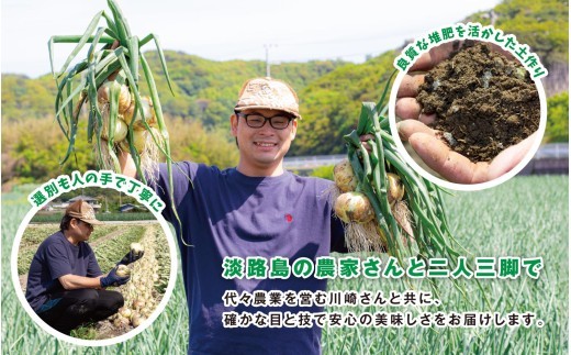 海月館 自社農場栽培！淡路島産 玉ねぎ