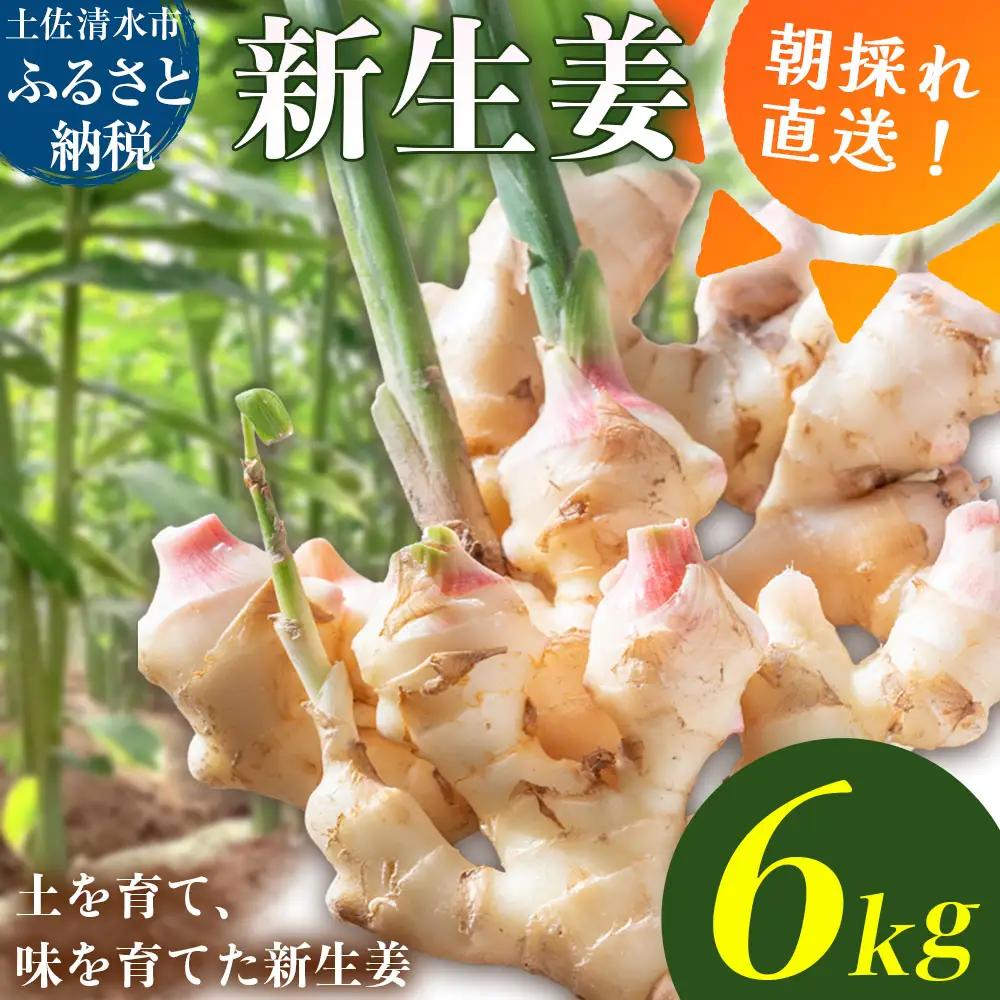 新生姜 6kg（3kg×2箱）水洗いのみ【R01775】