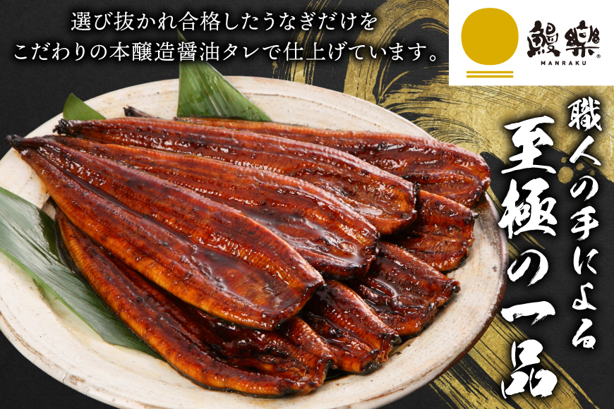 うなぎ ハーブ うなぎ蒲焼 計 1kg 以上 6～8尾 タレ 山椒 付き [鰻楽 宮崎県 日向市 452061198] セット 鰻楽 宮崎県産 真空パック 国産 蒲焼き ウナギ 鰻 長蒲焼 冷凍