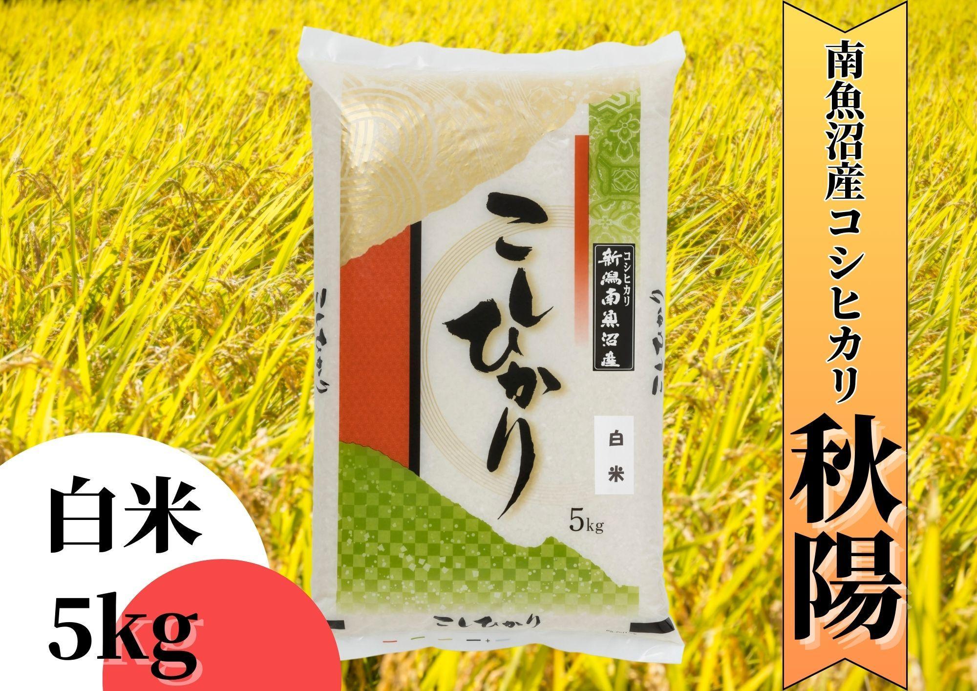 【令和7年産 新米予約】南魚沼産コシヒカリ「秋陽」（白米5kg）新潟県の特A地区南魚沼市の美味しいお米【2025年（令和7年）10月上旬より順次発送予定】【米 お米 こしひかり 南魚沼 米 白米 こめ 新潟 米】