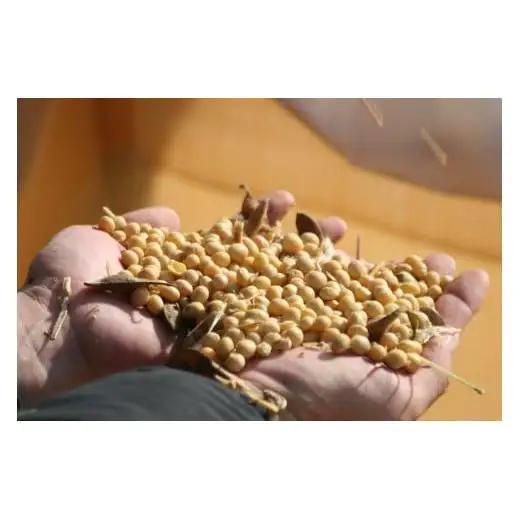 こだわり醤油、味噌詰合わせ（有機こい口、丸大豆うす口）[746] 無添加 生みそ 生味噌 天然醸造 長期熟成 オーガニック 有機醤油 有機味噌 国産 有機JAS