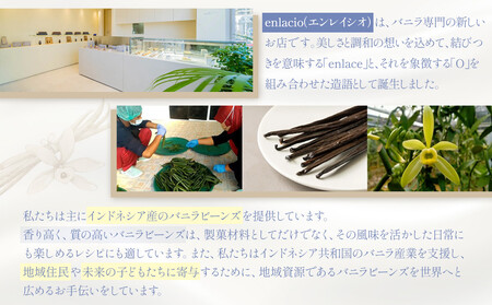 夙川バニラチーズタルト＜9個入＞