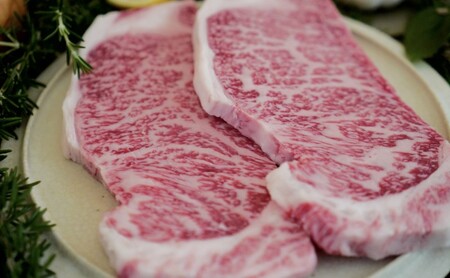 佐賀牛 サーロイン ステーキ 佐賀牛【200g×2枚】