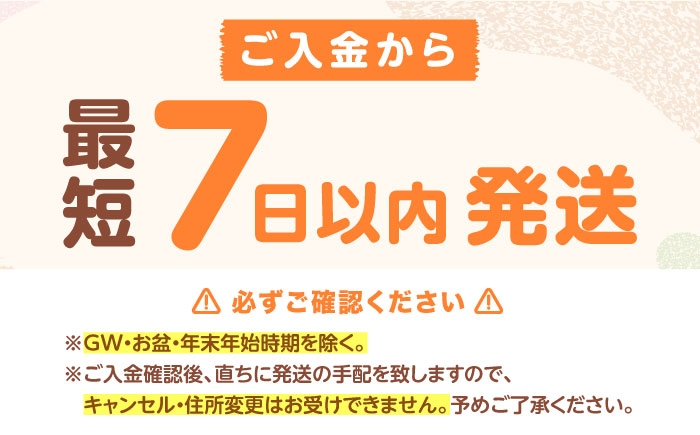 将棋 しょうぎ 将棋連盟 将棋のまち 駒 どうぶつ 大阪 高槻市 おもちゃ オモチャ 子ども用将棋 入門 将棋駒 学習玩具 玩具