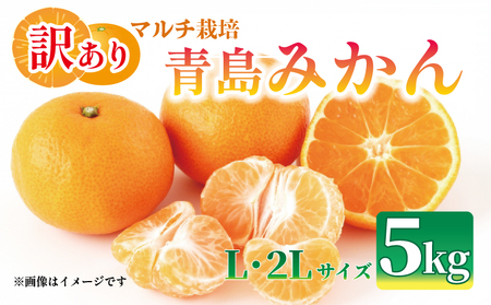 みかん【2026年1月上旬から発送】 訳あり 青島 みかん 5kg