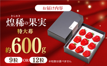 煌稀の果実　高知市春野町産 苺 超大粒（約600g・9または12粒）＜2025年1月 から発送開始＞