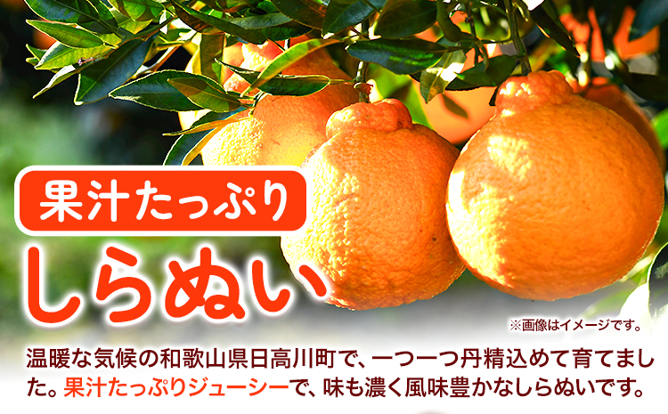 不知火 ( デコポン と同品種 ) しらぬい 約 5kg (L〜5Lサイズ) どの坂果樹園《2月中旬-4月上旬頃出荷》 和歌山県 日高川町 しらぬい 不知火 デコポン でこぽん 旬 果物 フルーツ 柑