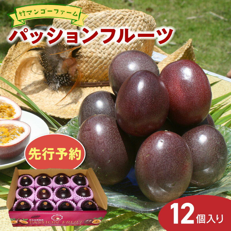 【ふるさと納税】【2026年先行予約】パッションフルーツ 12個 家庭用 竹マンゴーファーム パッション フルーツ 果物 予約 数量 期間 限定 南国 甘い 酸味 アイス カクテル 鹿児島 知名町 沖永良部島 沖永良部 おすすめ ランキング プレゼント ギフト