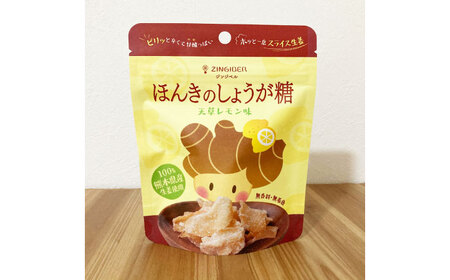 天草レモン味 ほんきのしょうが糖とほんきのしょうがおなかクッキー各５袋セット【ジンジベル】クッキー 和菓子[AYAD022]