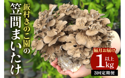 隔月【3回定期便 】飯村きのこ園の笠間まいたけ(1kg以上)