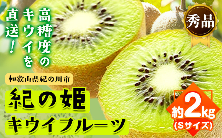 
                  【先行予約】和歌山県産 紀の姫 キウイフルーツ 約2kg Sサイズ 秀品 紀の川市厳選館《2026年12月中旬-2027年1月中旬頃出荷》 和歌山県 紀の川市 果物 フルーツ キウイ
                