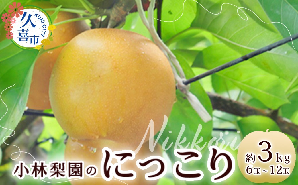 
            【先行予約 数量限定】梨 にっこり 約3kg 6玉～12玉｜梨 フルーツ 甘み みずみずしい 産地直送 限定品 贈り物 新鮮 お取り寄せ デザート ギフト 風味豊か 赤梨 大玉 香り 上品 地域 甘い 限定 果物 果樹 梨 なし 果物 フルーツ 埼玉県 久喜市
          