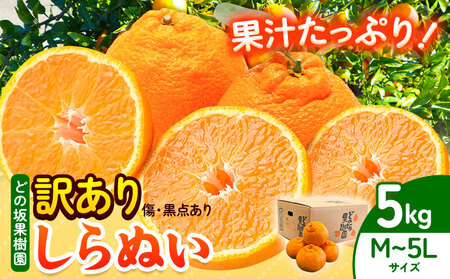 訳あり 不知火 5kg しらぬい デコポン