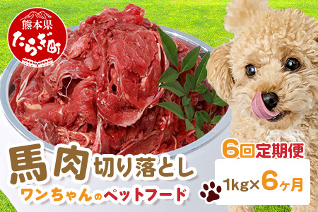 【定期便6回】ペット用 熊本加工 馬肉 切り落とし【 1kg ×6回配送 】 合計 6キロ ドッグ フード 無添加 無香料 ヘルシー 高栄養 馬刺し 冷凍 お肉専門店 熊本県 国内加工 041-0503