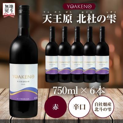 ふるさと納税 笛吹市 【のし付き】山梨県 YOAKENO天王原北杜の雫 750ml×6本 赤ワイン 辛口 モンデ酒造 笛吹 |  | 03