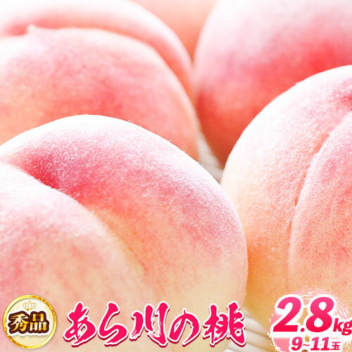 【ふるさと納税】【先行予約】あら川の桃 秀品 約2.8kg (サイズ・品種おまかせ) もも 紀伊国屋文左衛門本舗 株式会社とち亀物産 《2025年6月下旬-8月下旬頃出荷》 和歌山県 紀の川市