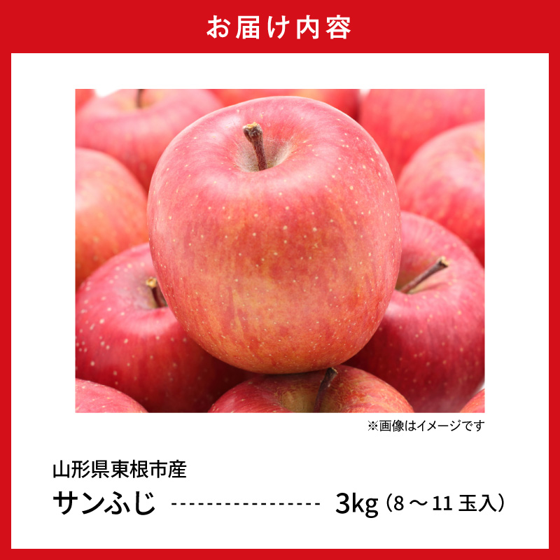 【2025年 先行予約】2025年産 りんご　サンふじ 約3kg (8～11玉入) 山形県 東根市　hi026-012-2_イメージ3