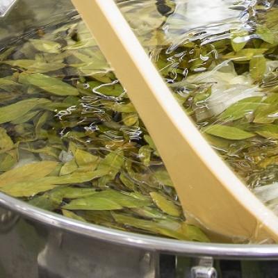 ふるさと納税 土庄町 [和み・爽み・風味オイル]セット |  | 03