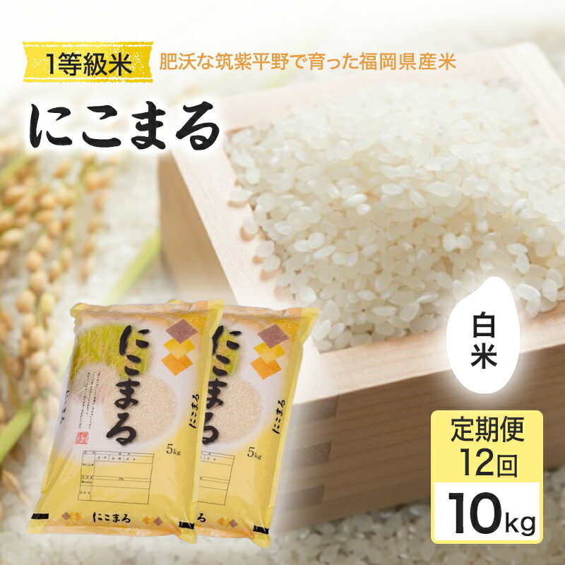 【ふるさと納税】定期便 12回 米 1粒からこだわる1等級米 にこまる 白米(10kg×12回） お米 コメ お楽しみ 12ヶ月 令和7年度産