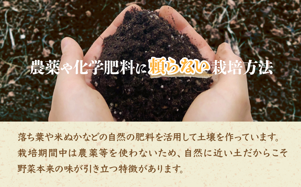 ＜12ヵ月定期便＞旬の野菜詰め合わせ7種~8種 | 野菜 定期便 季節の野菜 旬の野菜 新鮮野菜 産地直送 栽培期間中農薬不使用 有機 オーガニック フレッシュ セット 詰め合わせ サラダ 料理 炒め