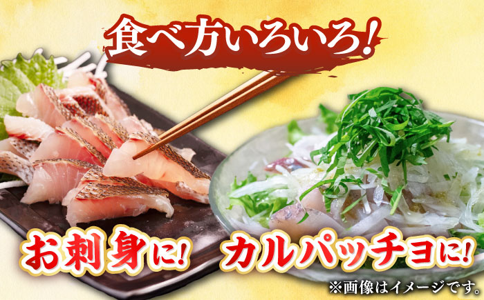 【勝本漁港直送】壱岐島の刺身盛りセット ≪壱岐市≫【あかりや】 冷凍配送 刺身 小分け 産地直送 1万円 10000円 お刺身 刺し身 寿司 海鮮 [JFO003]