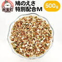 【ふるさと納税】鳩のえさ 特別配合M 500g×1袋 サイトウ・コーポレーション 飼料