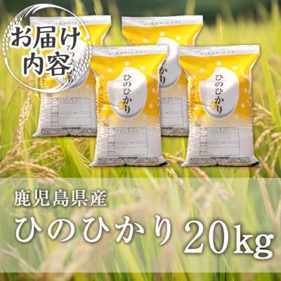 ふるさと納税 伊佐市 鹿児島県産ひのひかり(20kg)  伊佐米 isa869 |  | 03