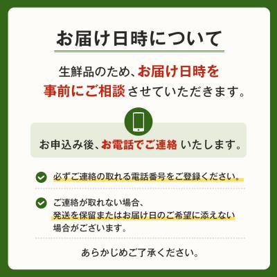 ふるさと納税 淡路市 ご家庭向けお野菜セット〜旬のおまかせBOX〜　aa17801 |  | 01