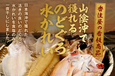 山陰浜田 香住屋のこだわり干物「水かれい・のどぐろ一夜干し」 魚介類 魚 干物 一夜干し のどぐろ 水かれい セット 詰め合わせ ふるさと納税 のどくろ【111】