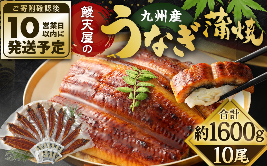 【年内配送】鰻天屋の九州産うなぎ 蒲焼 10尾 セット (1尾あたり160～189g)