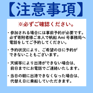 クルー体験 1名様分チケット 帆船Ami号 乗船体験 