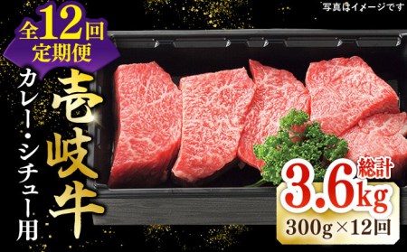 【全12回定期便】 特選 壱岐牛 すね肉 300g（カレー・シチュー用）《壱岐市》【太陽商事】[JDL081] 肉 牛肉 カレー シチュー 和牛 赤身 108000 108000円