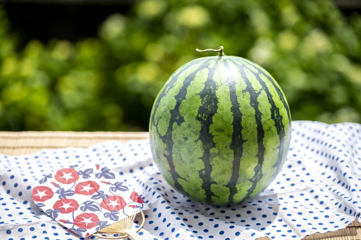 スイカ 【2026年7月後半発送】 青森県産 2玉 大玉 秀品 先行予約 西瓜 7月