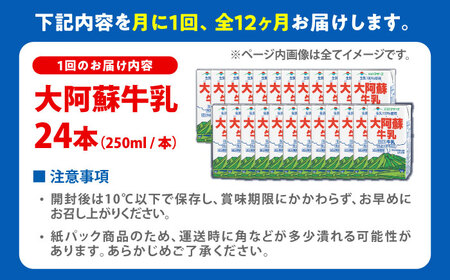 【全12回定期便】大阿蘇牛乳 ロングライフ 250ml 24本（12本入り×2ケース） 6L 牛乳[AYAC029]