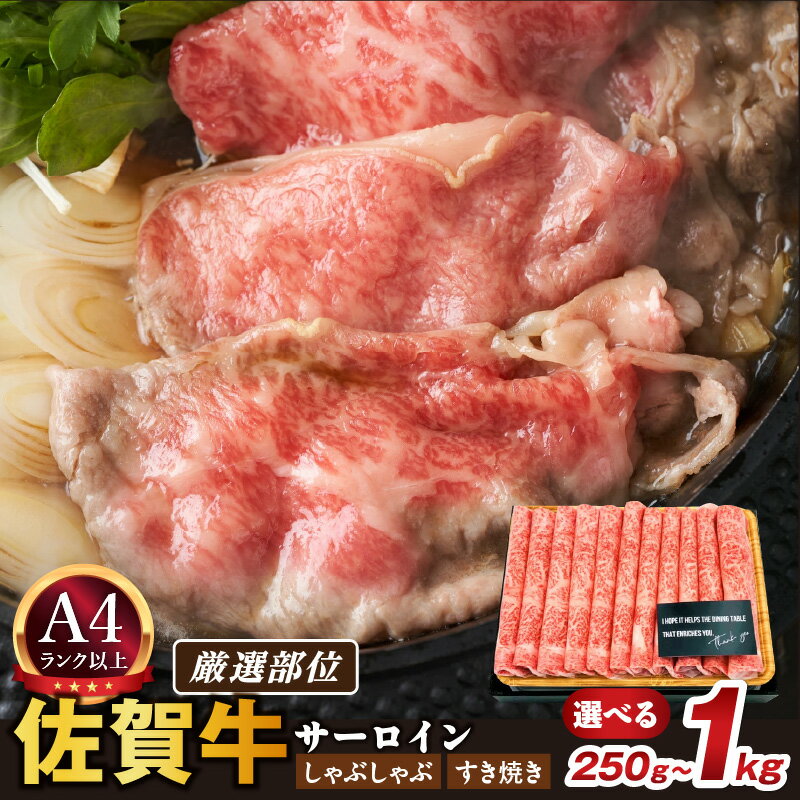 【ふるさと納税】【 佐賀牛 】 厳選部位 サーロイン しゃぶしゃぶ すき焼き 【発送時期が選べる】【 内容量が選べる 250g ～ 1kg 】