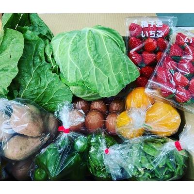 ふるさと納税 西之表市 種子島発　旬の野菜と玉子セット |  | 03