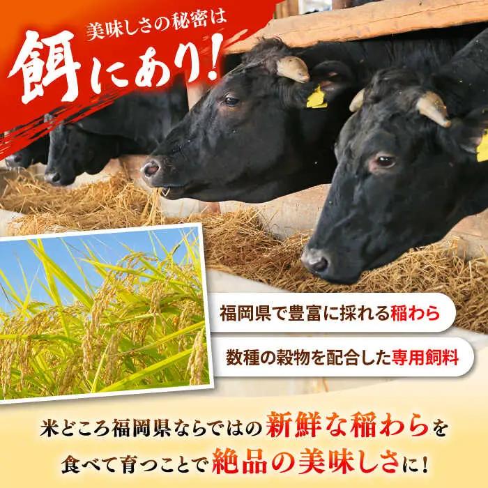 【全3回定期便】【溢れる肉汁！】お肉屋さんの手ごね 特上 博多和牛ハンバーグ 10個 桂川町/株式会社 MEAT PLUS [ADAQ036] 牛肉 ハンバーグ 肉汁 手作りハンバーグ ハンバーグセッ