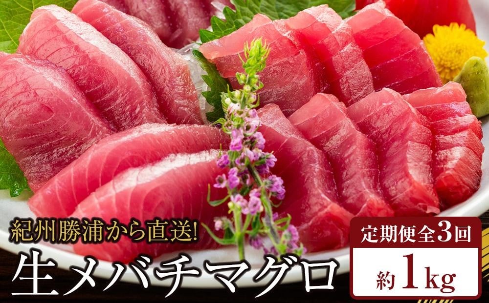 
【定期便全3回】生まぐろの本場紀州勝浦から直送！　生メバチマグロ 約1kg（1カ月に1回お届け）（全3ヵ月）
