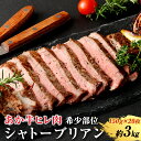 【ふるさと納税】あか牛ヒレ肉 希少部位 シャトーブリアン約3kg(約150g×20枚) あか牛 シャトーブリアン ヒレ 熊本県 水俣市 国産 定期便 送料無料