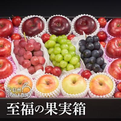 ふるさと納税 長野県 信州うちやま農園のフルーツ詰め合わせ【秋に届く】EMiNA旬の箱ナガノパープル、クイーンルージュ入り