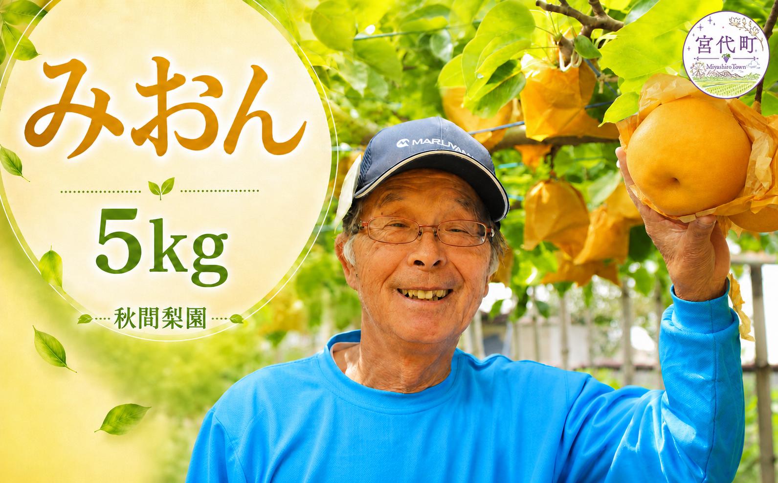 
                  【先行予約】秋間梨園の梨（みおん）5kg | 秋間梨園限定品種 みおん ミオン 梨 なし ナシ 秀品 贈答 産地直送 農家直送 数量限定 期間限定 先行予約 9月上旬から10月上旬発送 秋の味覚 和梨 旬の梨 果物 フルーツ 甘い ジューシー 5キロ 5キログラム 9月発送 10月発送 20000円 20,000円 秋間梨園 埼玉県 宮代町
                