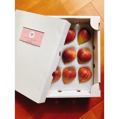 ふるさと納税 紀の川市 【8月上旬以降お届け】いちじくプリンセス2箱セット |  | 01